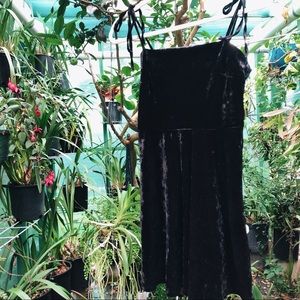 Black Crushed Velvet Dress